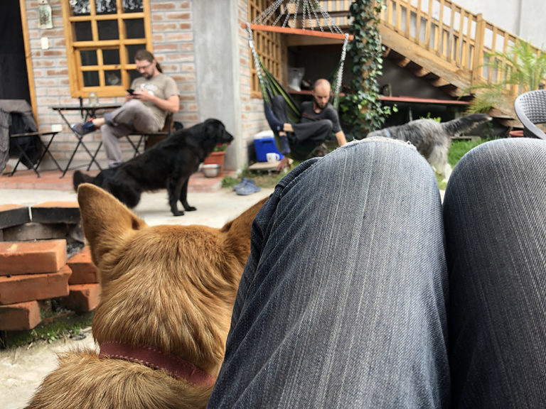 Hoppy Alpaca Hostel in Cotacachi with guests chilling out.